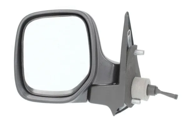 Exterior Mirror (5402-04-9237972)