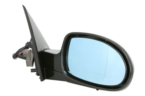 Exterior Mirror (5402-04-1129852)