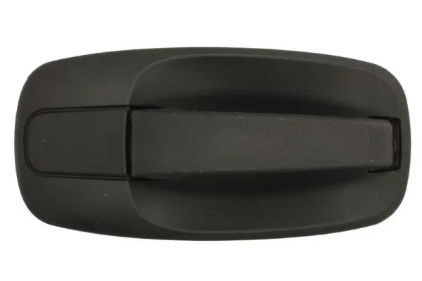 Exterior Door Handle (6010-09-041410P)