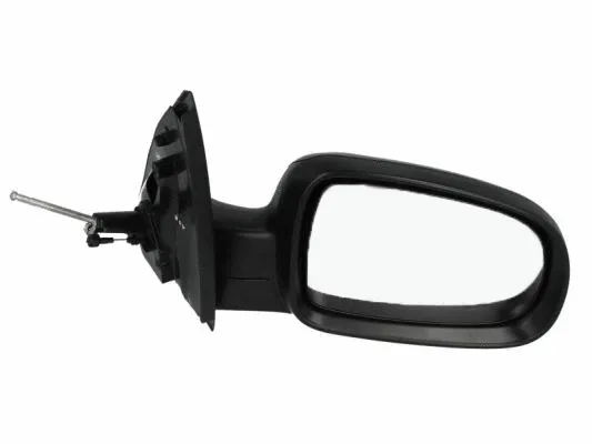 Exterior Mirror (5402-04-1115228P)