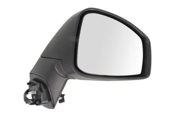 Exterior Mirror (5402-09-2002154P)