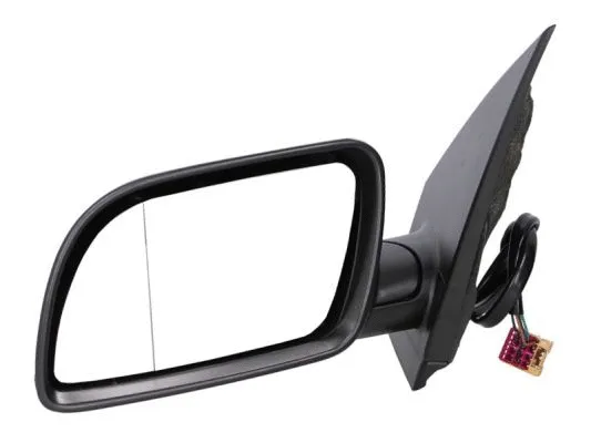 Exterior Mirror (5402-04-1125119P)