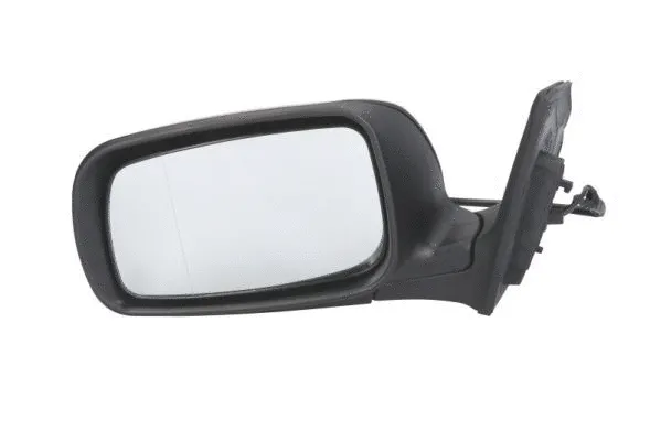 Exterior Mirror (5402-04-1139217P)