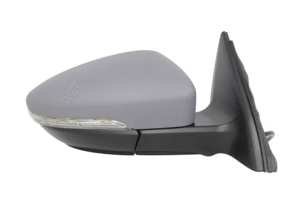 Exterior Mirror (5402-01-2002658P)