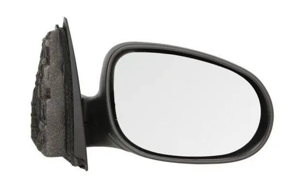 Exterior Mirror (5402-23-2001594P)