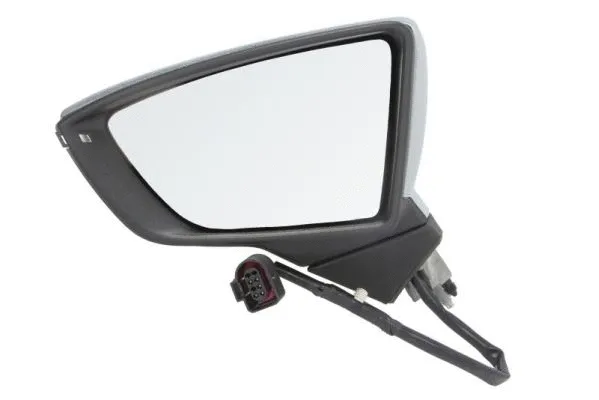 Exterior Mirror (5402-10-2002301P)