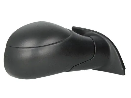 Exterior Mirror (5402-04-1121536P)