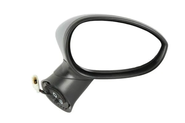 Exterior Mirror (5402-04-1132527P)