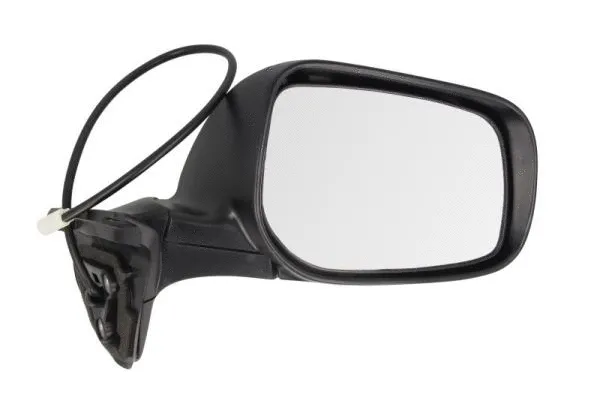 Exterior Mirror (5402-19-2002436P)