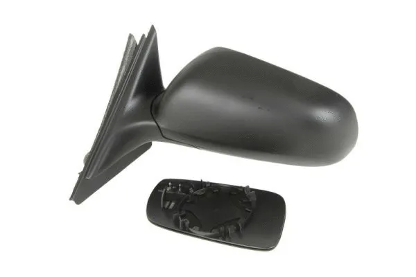 Exterior Mirror (5402-04-1125593)