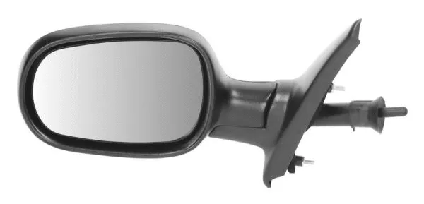 Exterior Mirror (5402-04-1137219P)