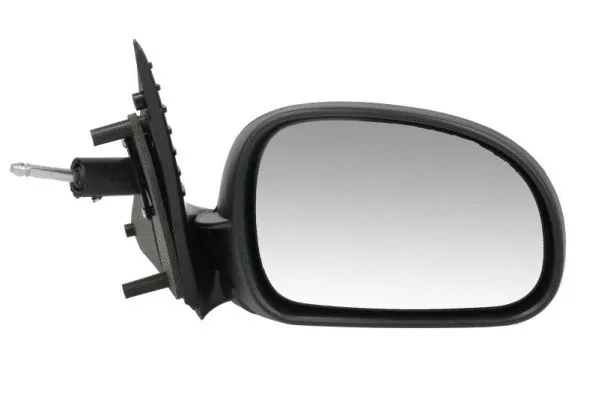 Exterior Mirror (5402-04-1115399P)