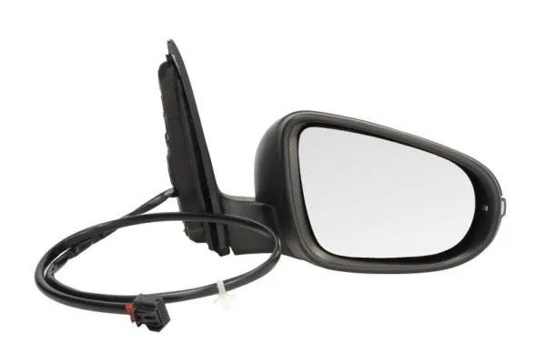 Exterior Mirror (5402-01-2002632P)