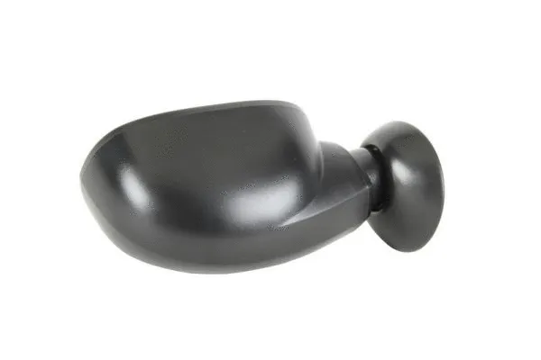 Exterior Mirror (5402-04-1119599P)