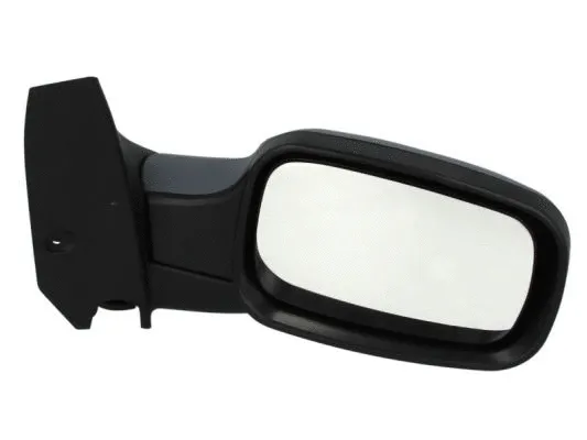 Exterior Mirror (5402-04-1129224P)