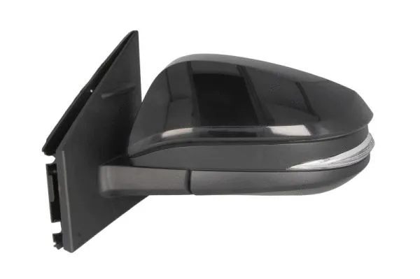 Exterior Mirror (5402-19-2002539P)