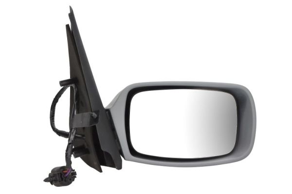 Exterior Mirror (5402-04-1151381)