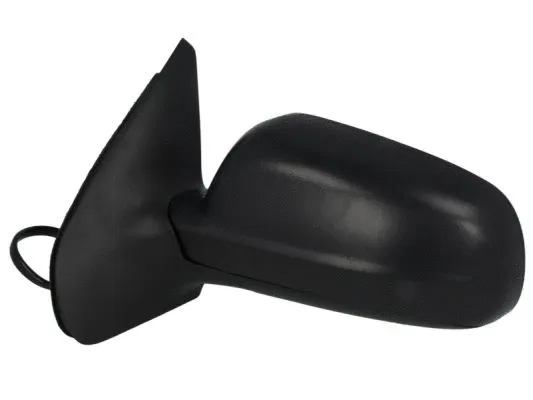 Exterior Mirror