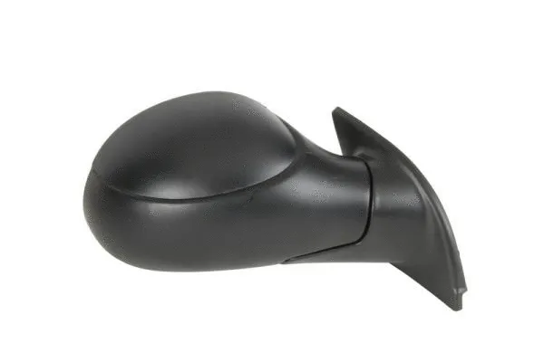 Exterior Mirror (5402-04-1131851)