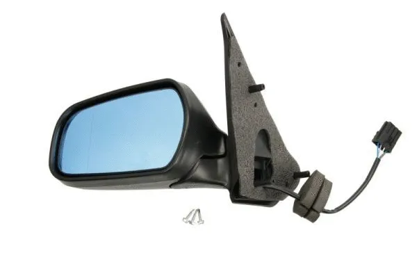 Exterior Mirror (5402-04-1125313)