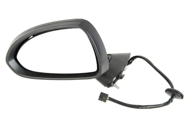 Exterior Mirror (5402-04-1139225P)