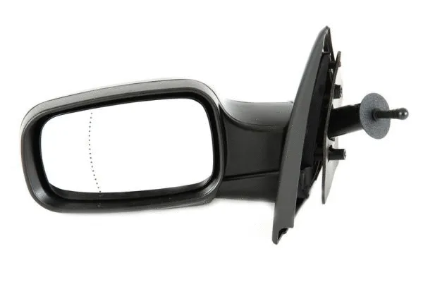 Exterior Mirror (5402-04-1191174P)