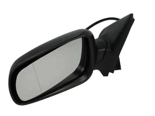 Exterior Mirror (5402-04-1125979P)