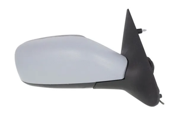 Exterior Mirror (5402-09-2002168P)