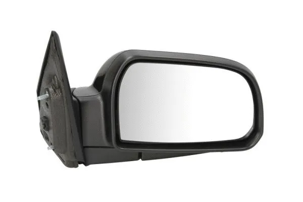 Exterior Mirror (5402-04-1128132)