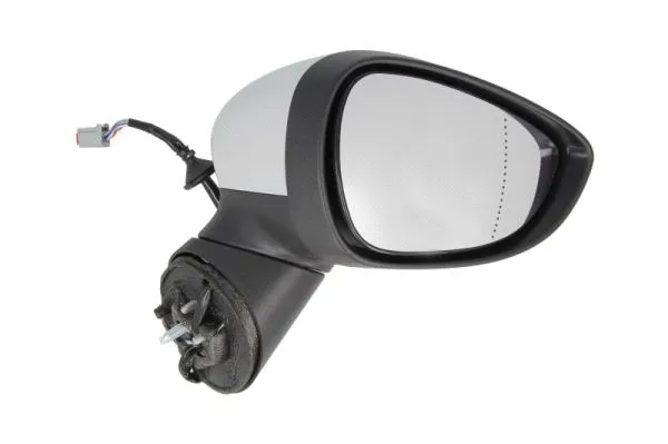 Exterior Mirror (5402-03-2001184P)