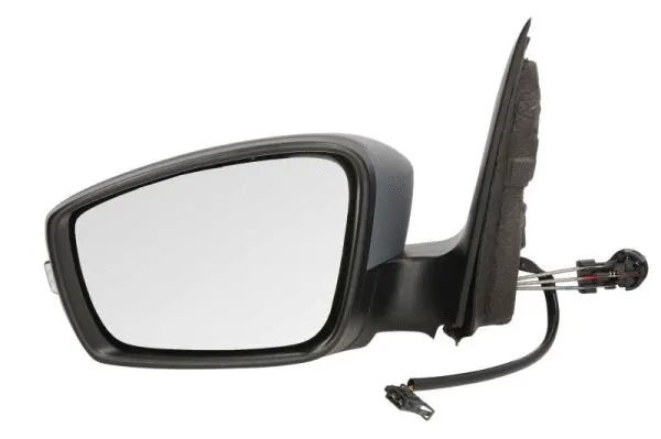 Exterior Mirror (5402-43-2002339P)