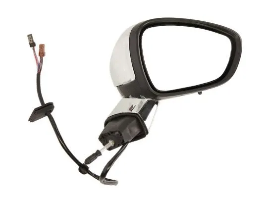 Exterior Mirror (5402-21-039338P)