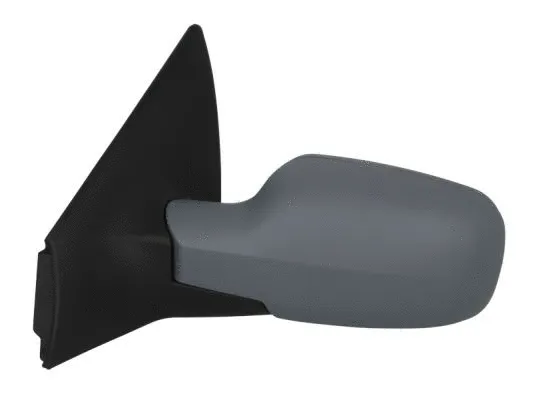 Exterior Mirror