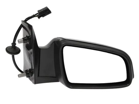 Exterior Mirror (5402-04-1192221P)