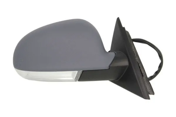 Exterior Mirror (5402-04-1129570P)
