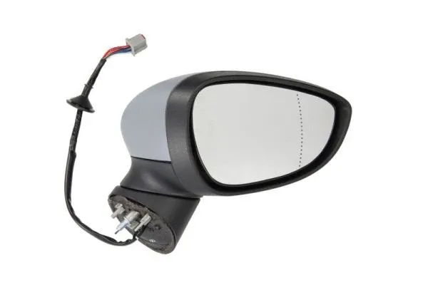Exterior Mirror (5402-04-0304592P)