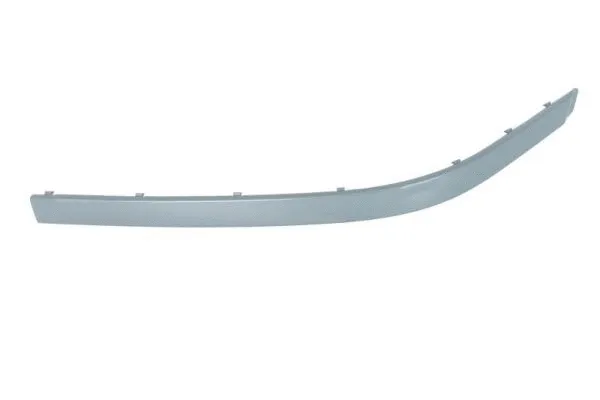 Trim/Protection Strip, bumper (5703-05-0065929PQ)