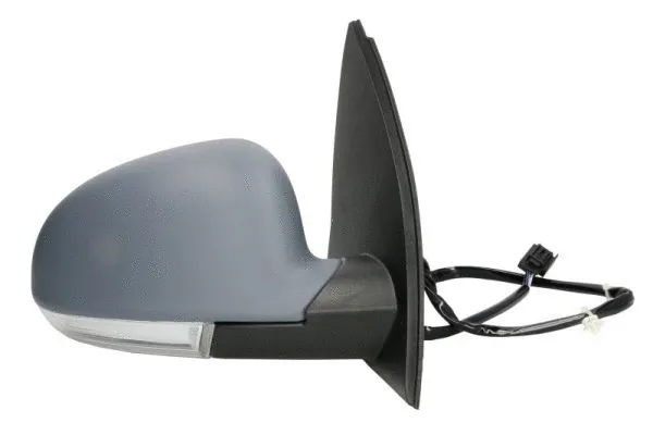 Exterior Mirror