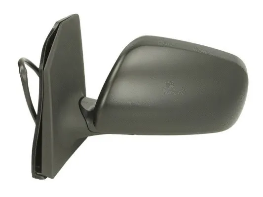 Exterior Mirror (5402-04-1139215P)