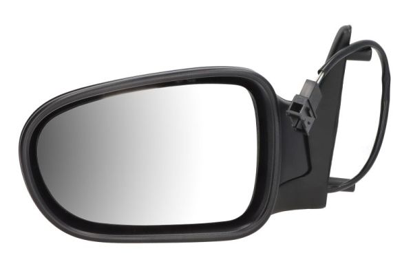 Exterior Mirror (5402-04-1125129)