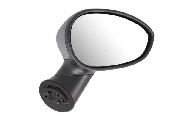Exterior Mirror (5402-04-1129933)