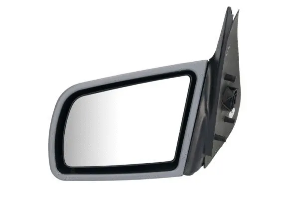 Exterior Mirror (5402-04-1125238P)