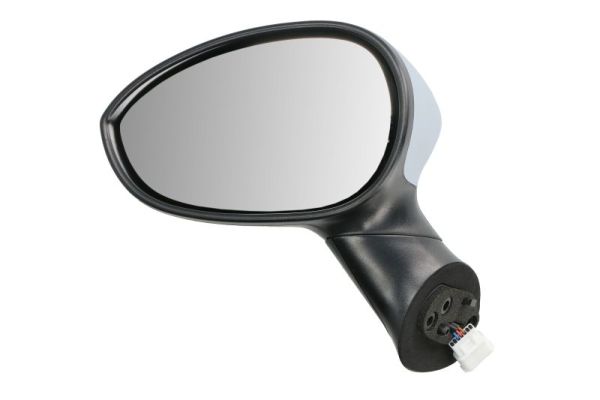 Exterior Mirror (5402-04-1111527P)