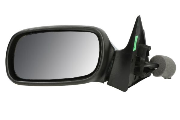 Exterior Mirror (5402-04-1139234P)
