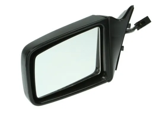 Exterior Mirror (5402-04-1125239P)