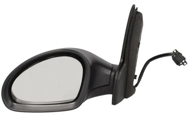 Exterior Mirror (5402-04-1139950P)