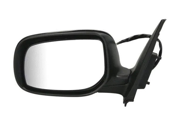 Exterior Mirror (5402-19-2002461P)