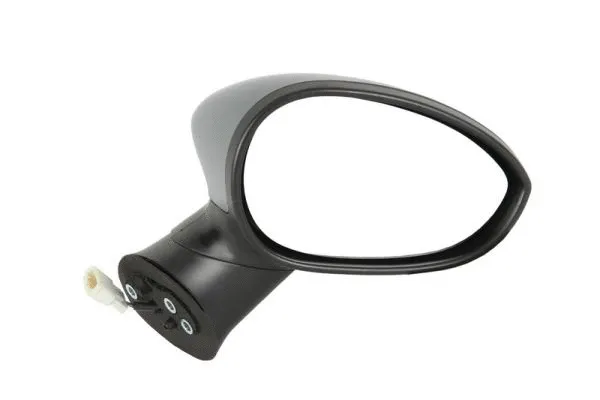 Exterior Mirror (5402-04-1112527P)