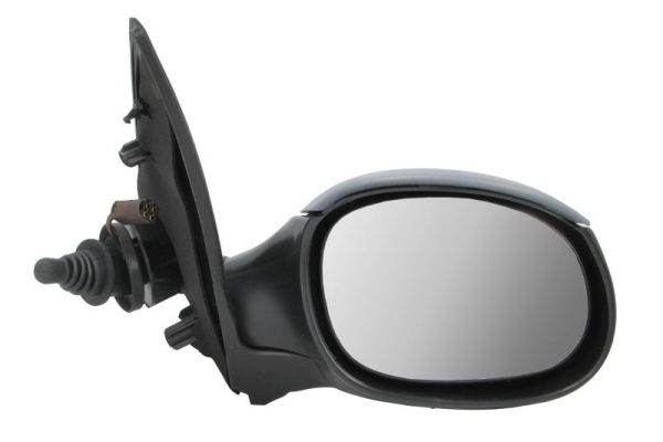 Exterior Mirror (5402-04-1121532P)