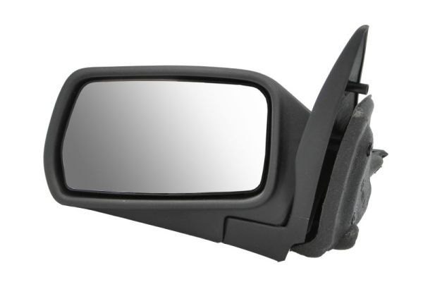 Exterior Mirror (5402-04-1137355)